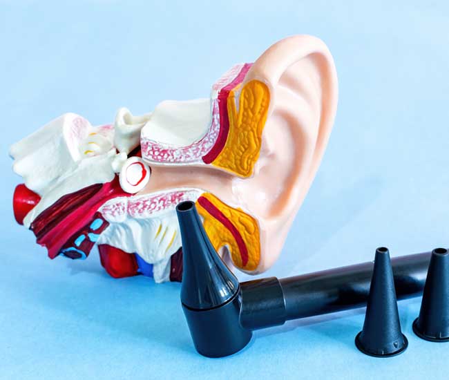 Modello anatomico dell'orecchio con otoscopio e speculum su sfondo blu